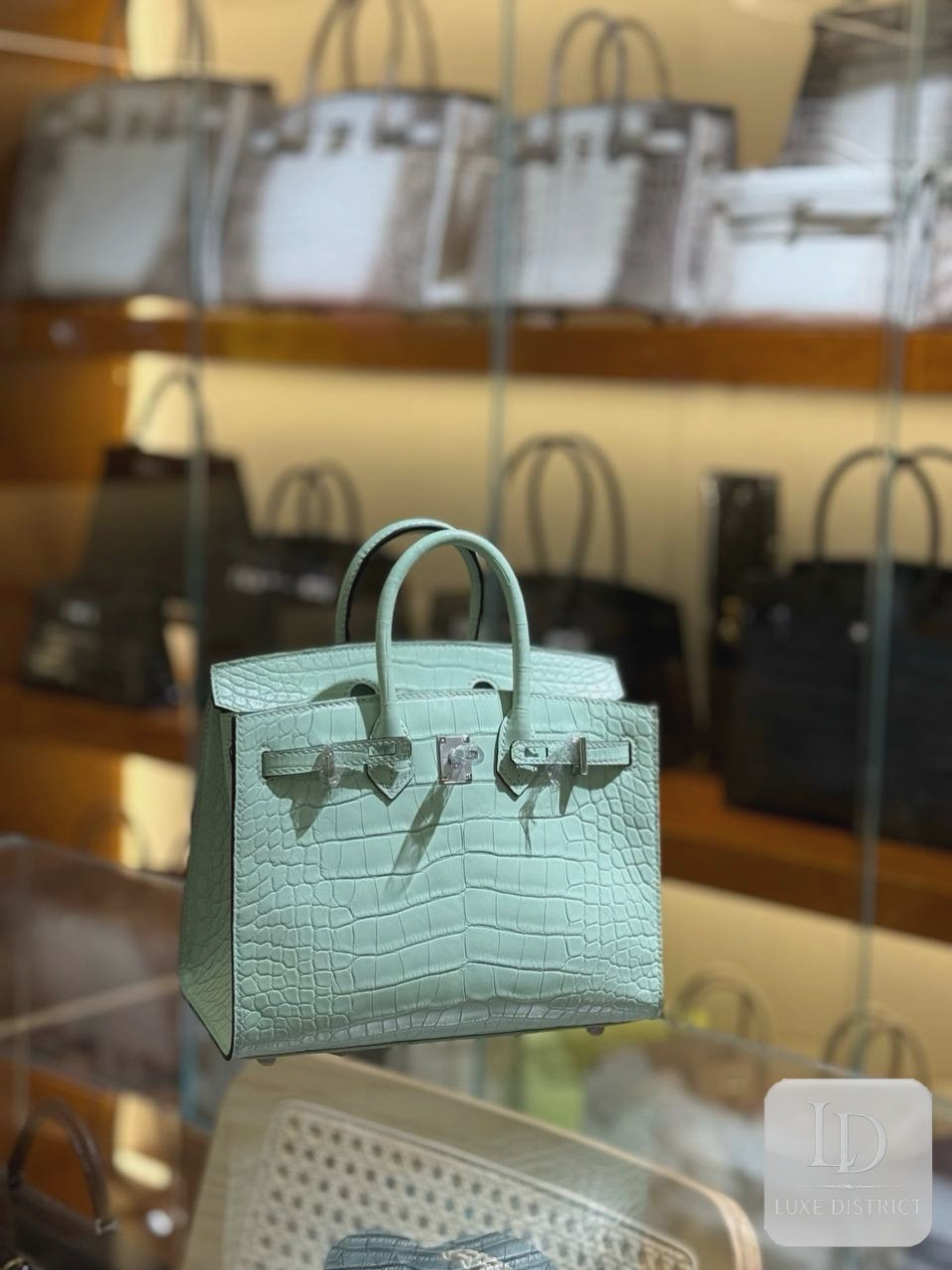 Birkin 25 см Американский аллигатор HCP Водная зелень