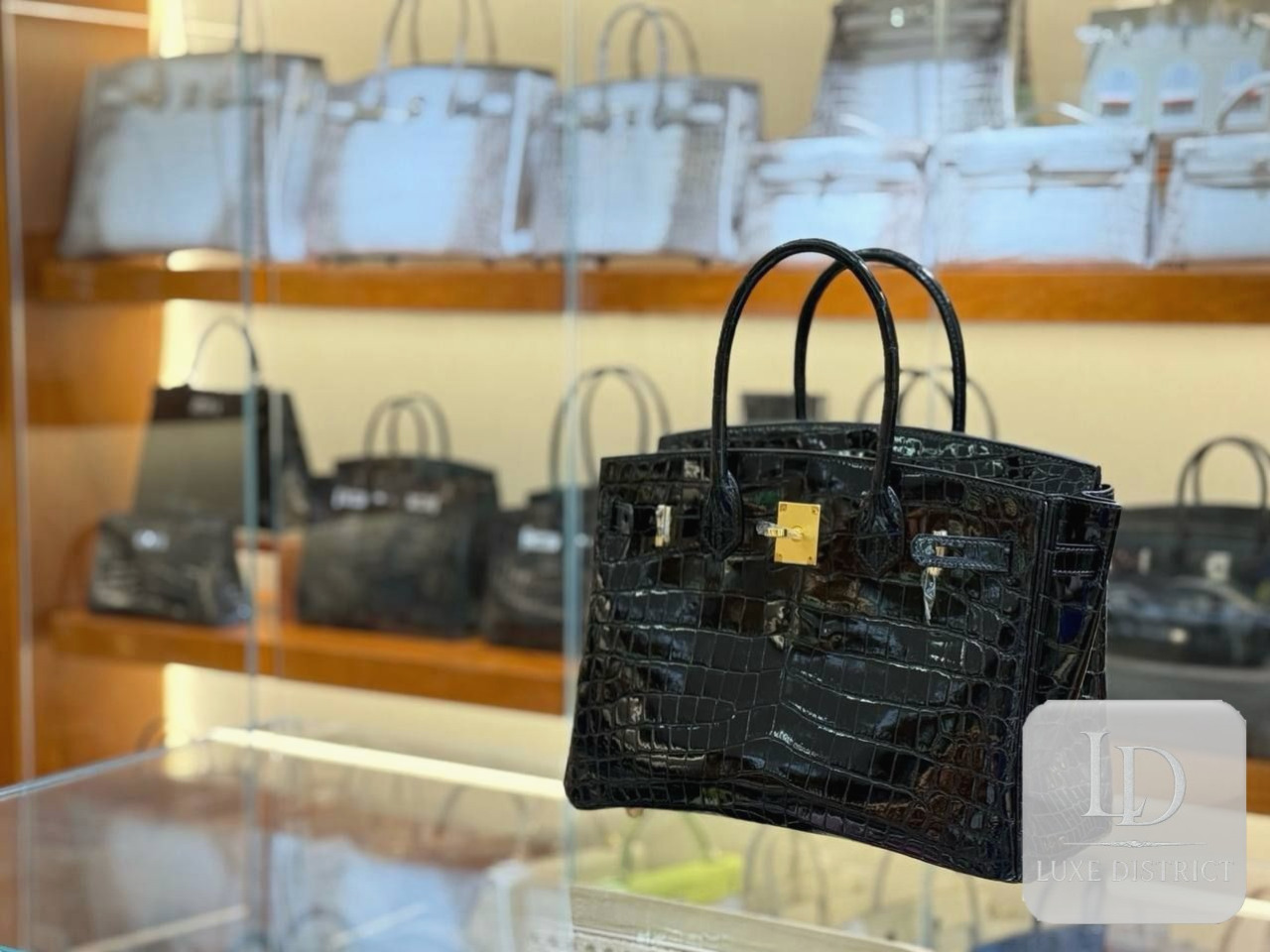 Birkin 30 Нилотикус – Чёрный интенсивный | GHW