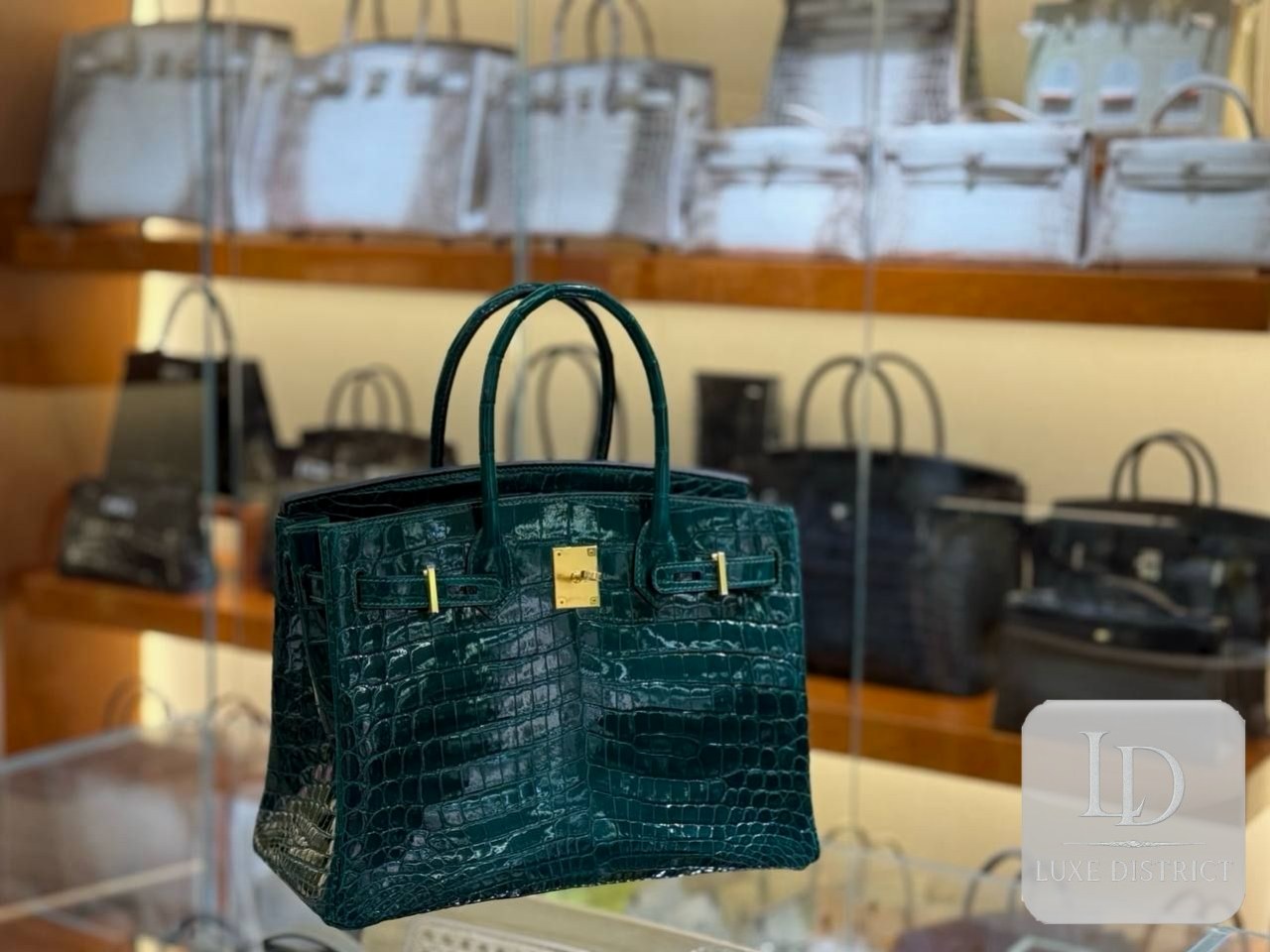 Birkin 30 — Нильский крокодил | Сингапур