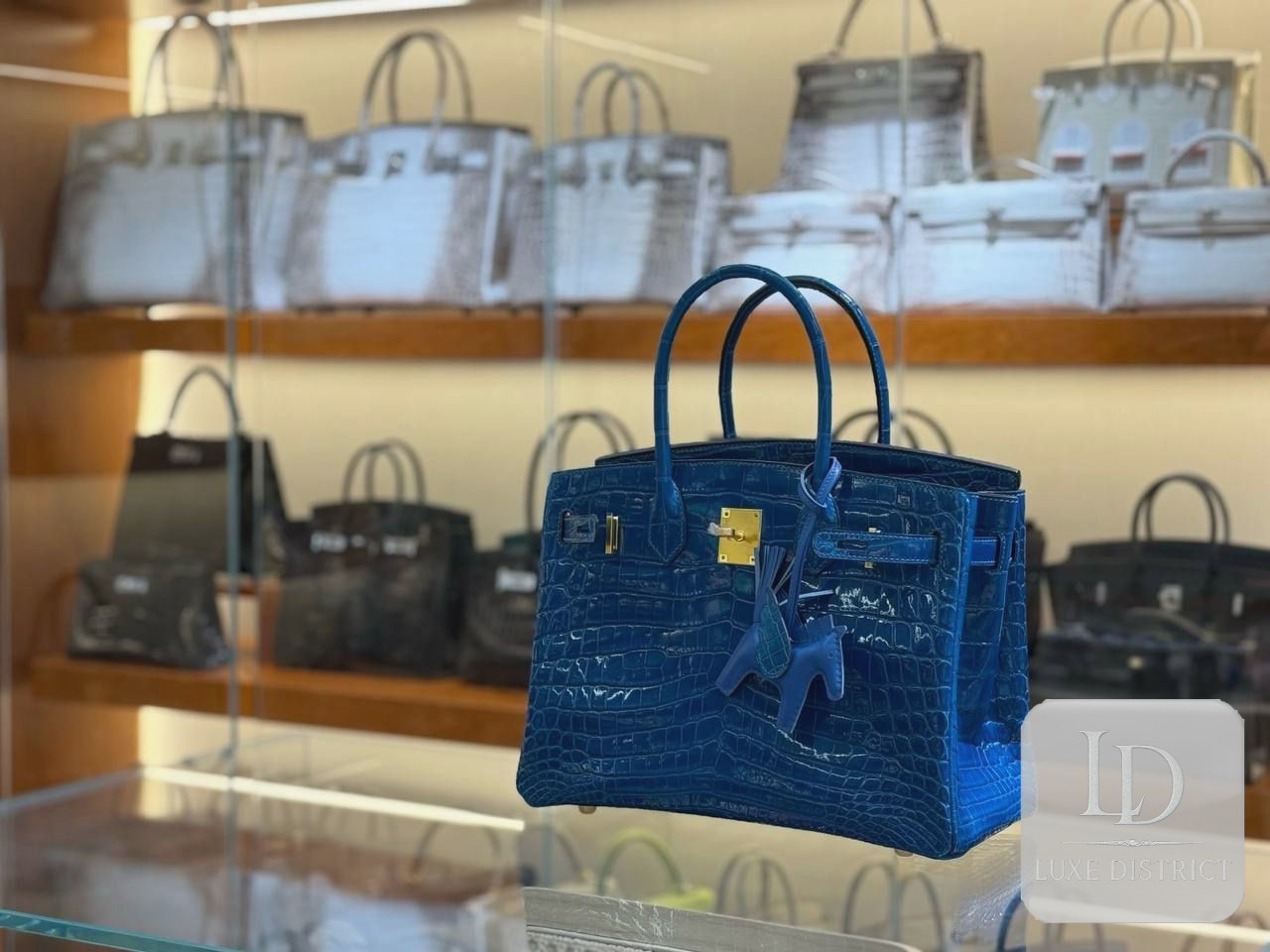 Birkin 30 — Нильский крокодил