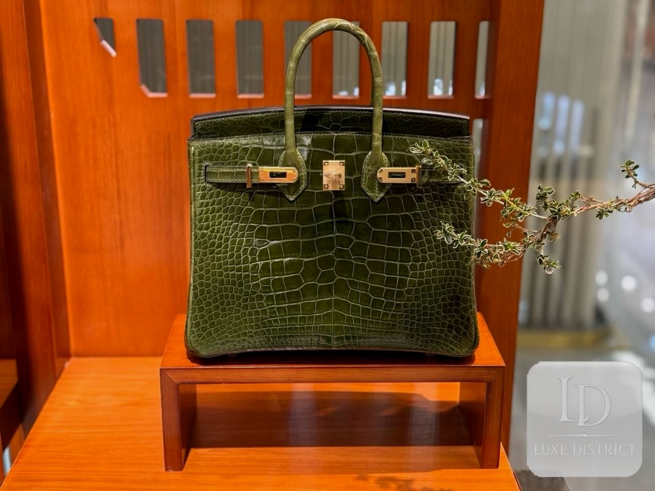 Hermès Birkin 25 — Оливково-зелёный крокодил аллигатор HCP (6H день) и золотая фурнитура